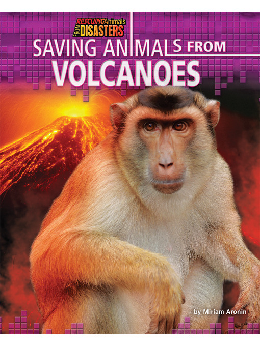Title details for Saving Animals from Volcanoes by Miriam Aronin - Available
